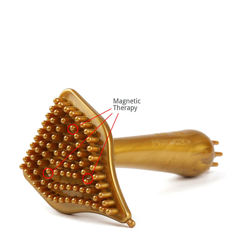 Professional Massager Brush